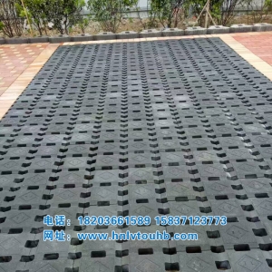 ������ֲ��ש