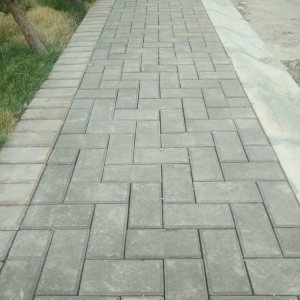 沼ש