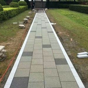 ͻ