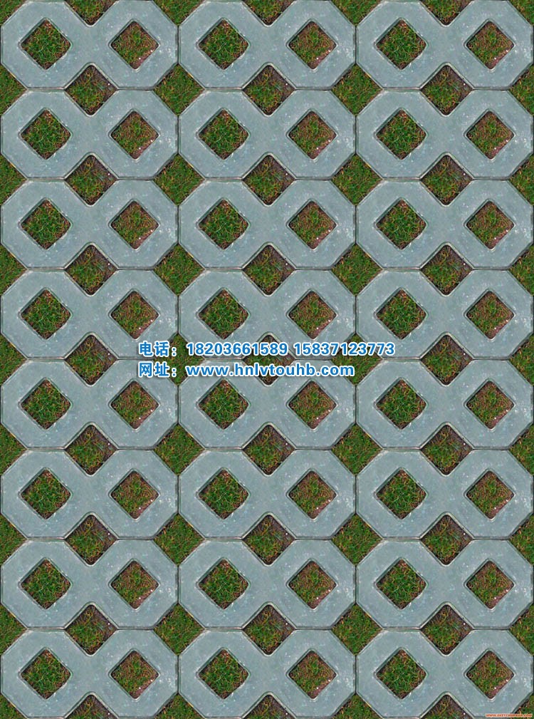 ͻ