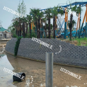 ǽש
