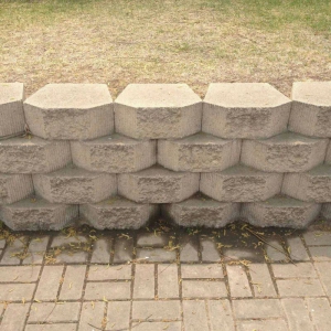 ǽש